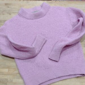 Everlane Wool Blend Lavender Crew Neck Sweater Size XS